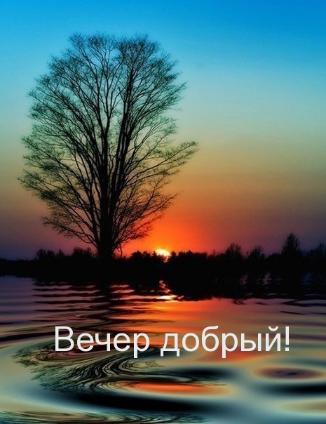 Вечер добрый!