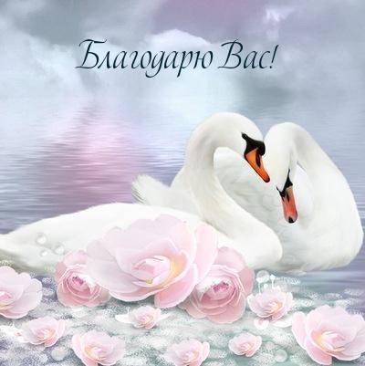 Благодарю Вас!