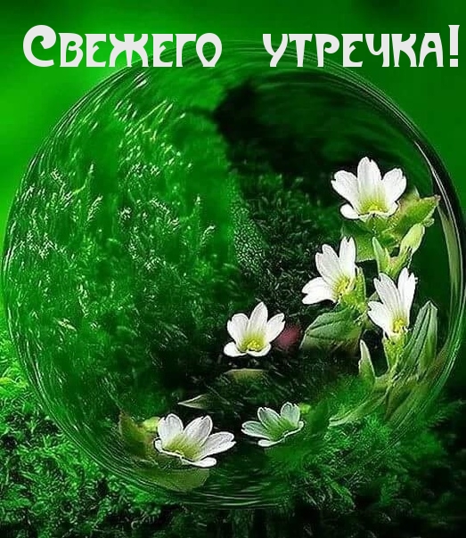 Свежего утречка!