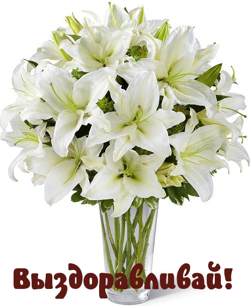 Выздоравливай!