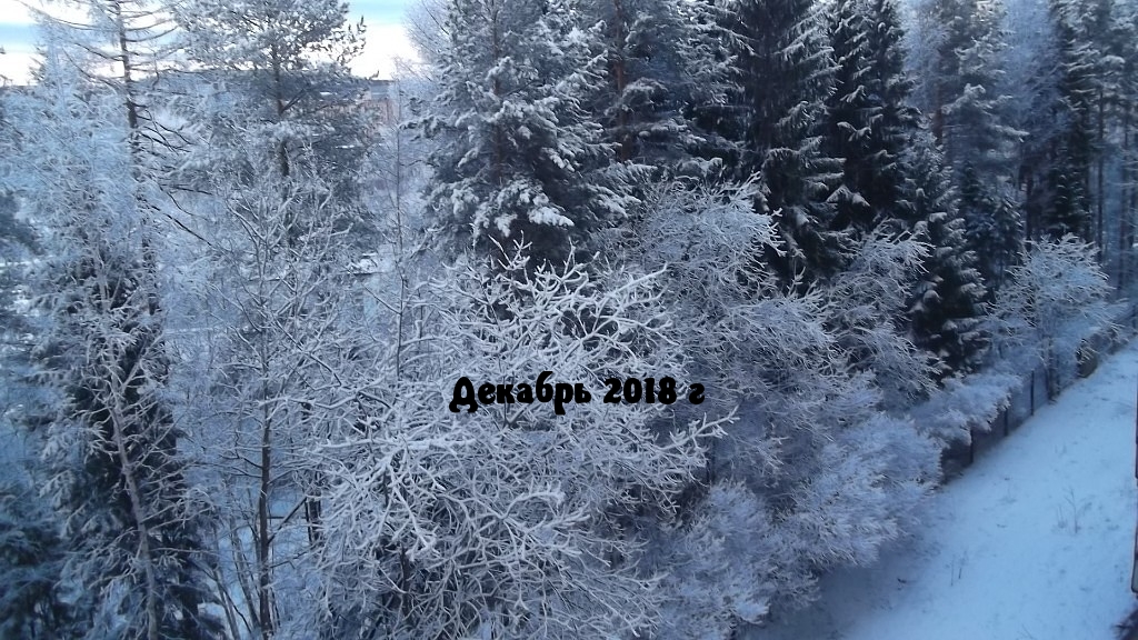Декабрь 2018