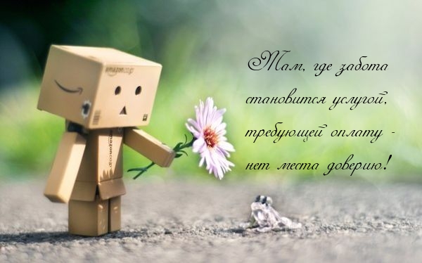 Там, где забота становится услугой