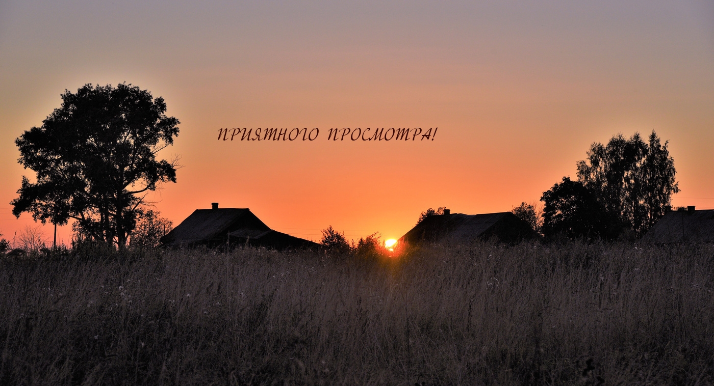 ПРИЯТНОГО ПРОСМОТРА