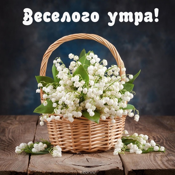 Веселого утра