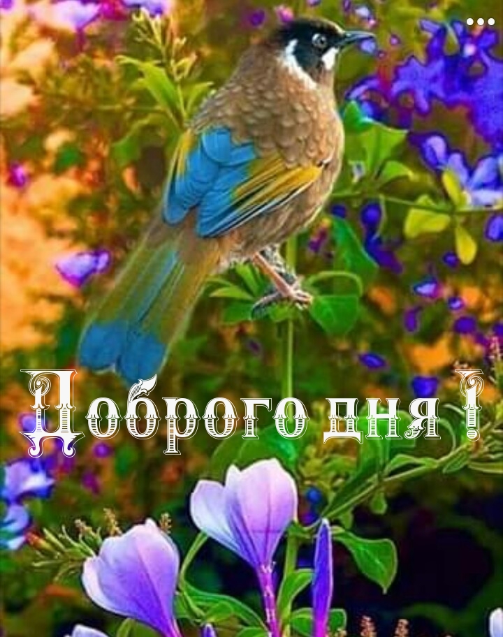 Доброго дня