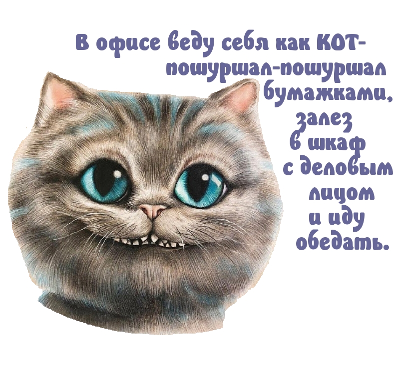 Картинки с надписями.  В офисе веду себя как КОТ.
