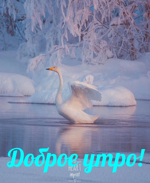 Доброе утро!