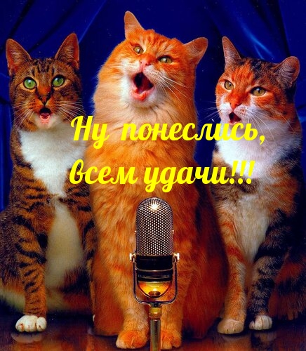Ну понеслись, всем удачи!