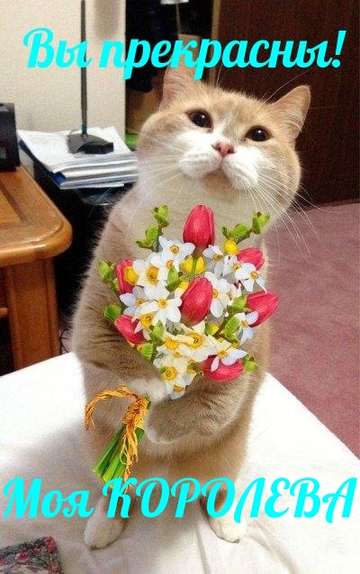Вы прекрасны! Моя Королева!