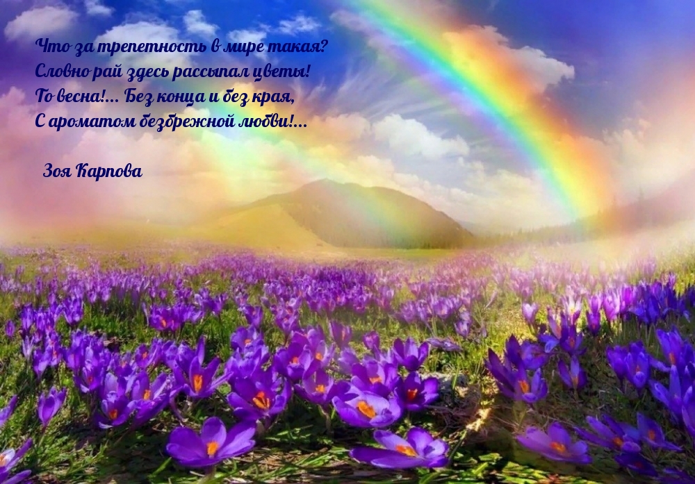 То весна!… Без конца и без края
