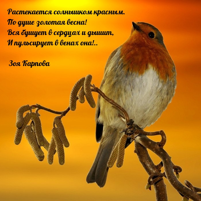 По душе золотая весна!
