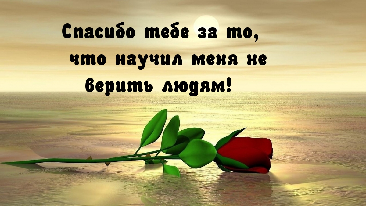 Ты научил меня не верить людям