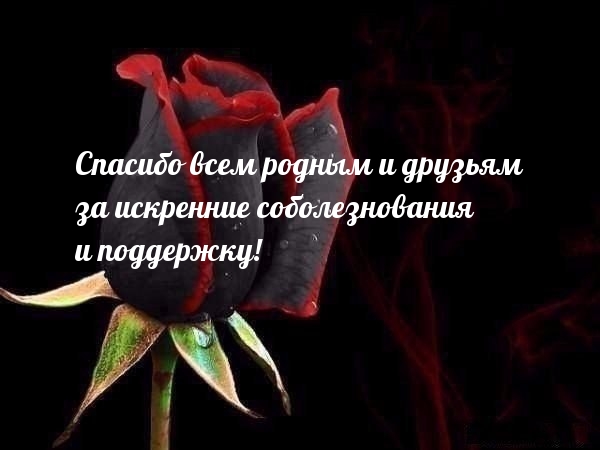 Спасибо всем родным и друзьям