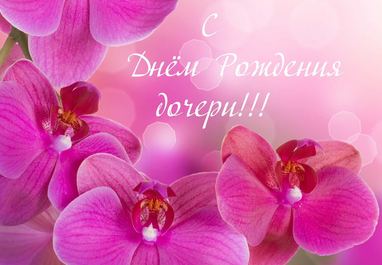 С Днем Рождения дочери!