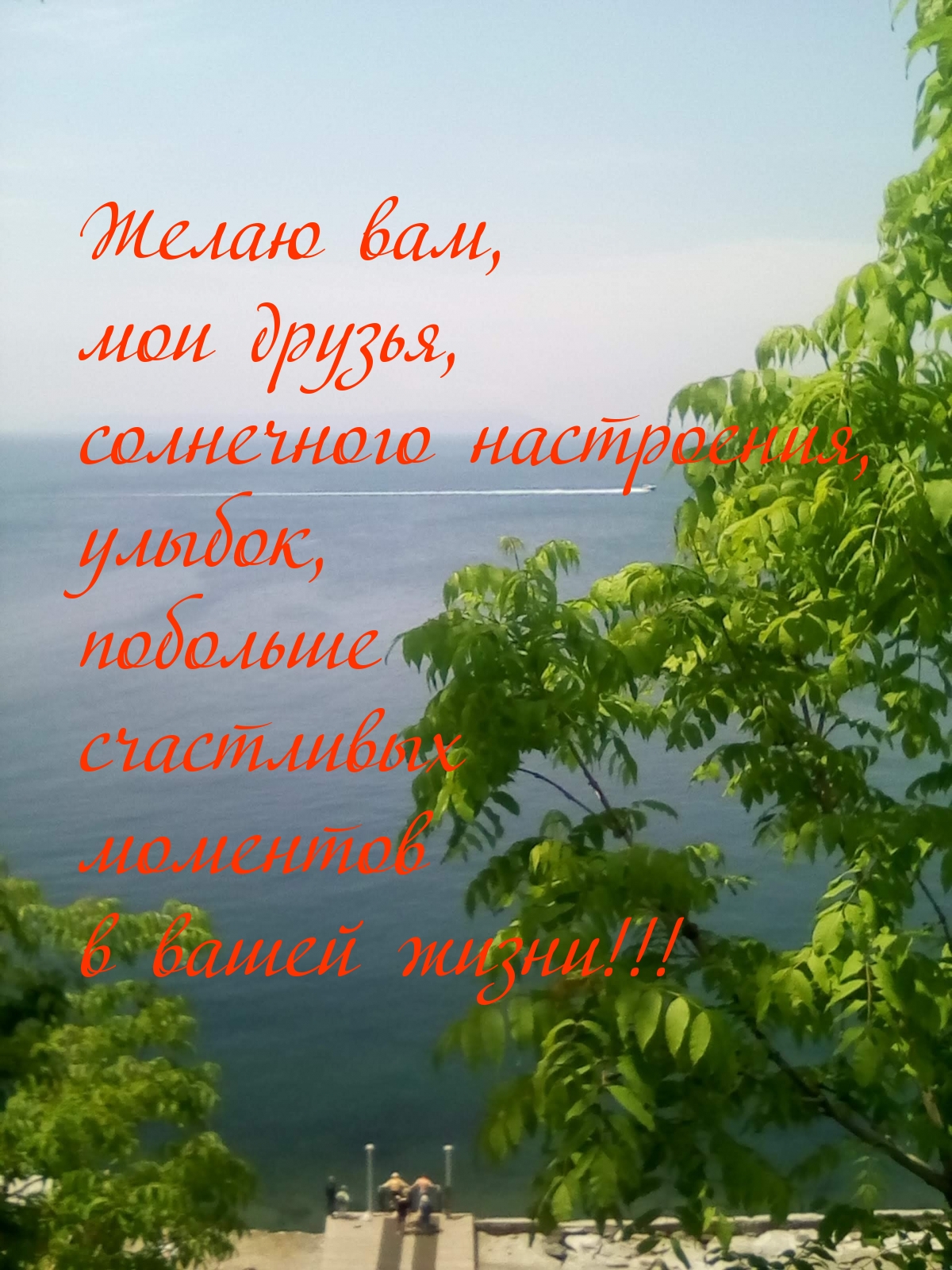 Солнечного настроения, улыбок и счастливых моментов!