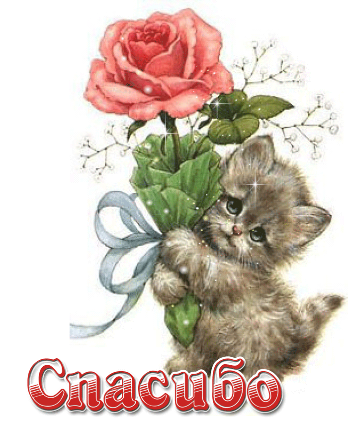 Спасибо  — скачать
