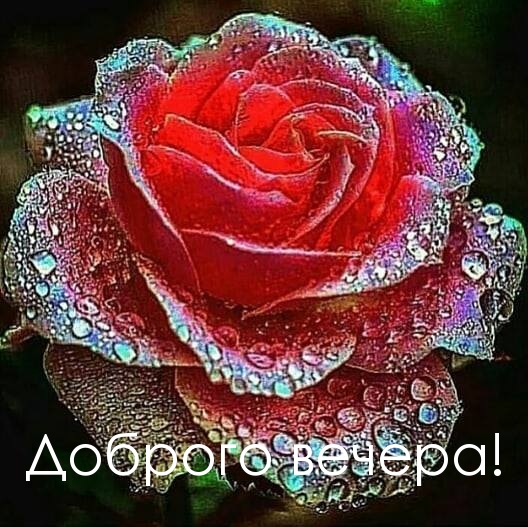 Доброго вечера!