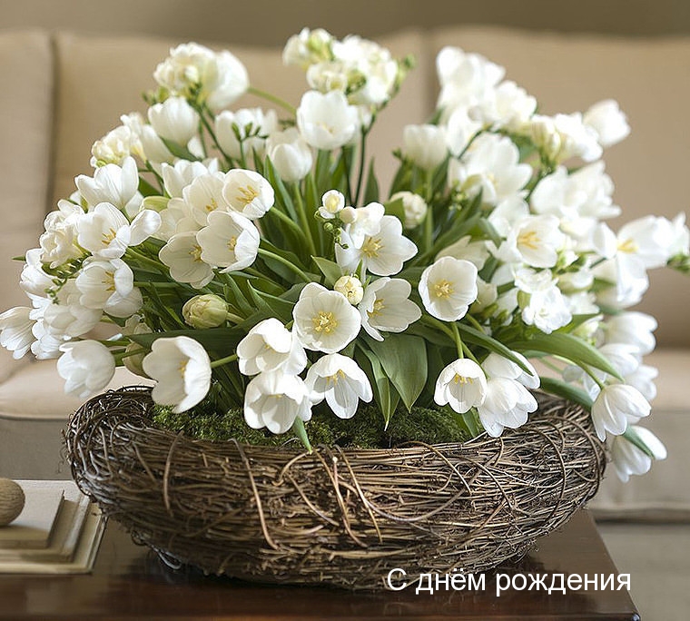 С днём рождения