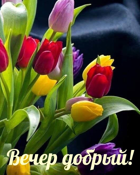 Вечер добрый!