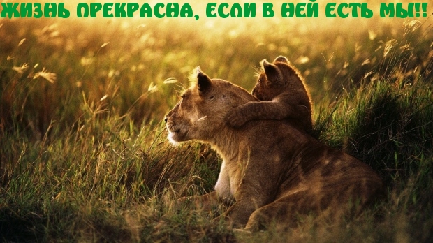 ЖИЗНЬ ПРЕКРАСНА, ЕСЛИ В НЕЙ ЕСТЬ МЫ!!