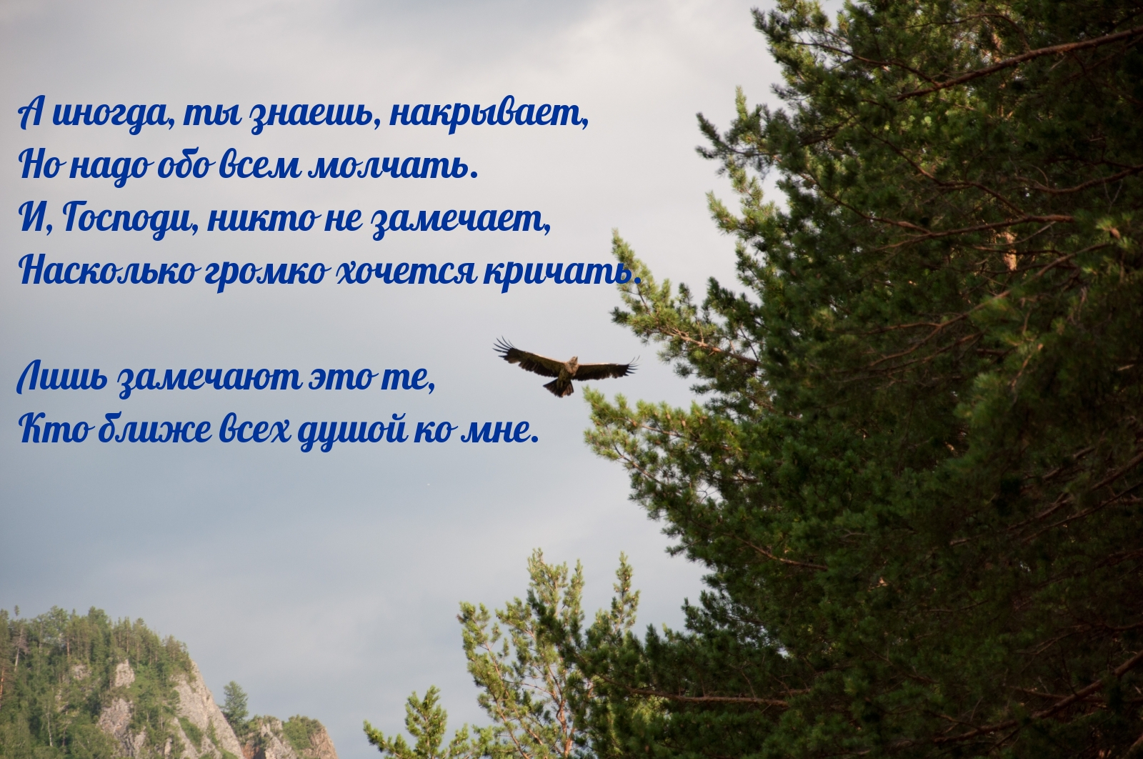Насколько громко хочется кричать.