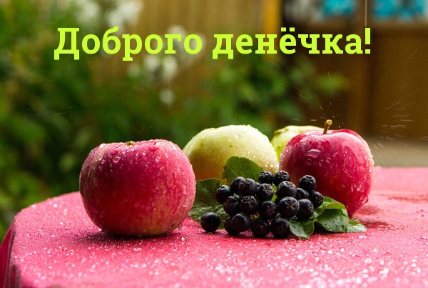 Доброго денёчка!