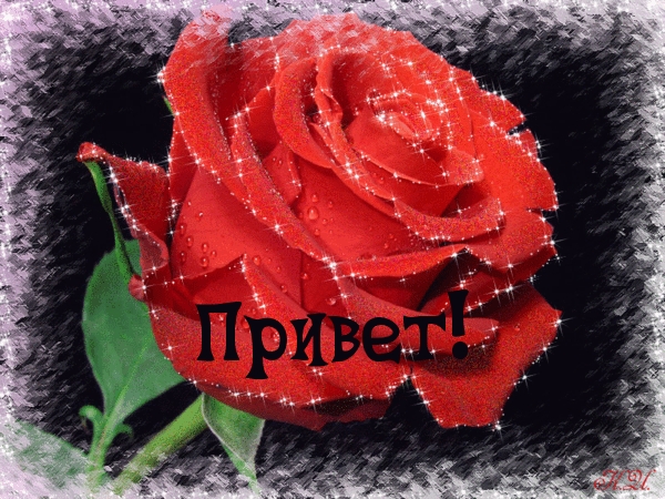 Привет!