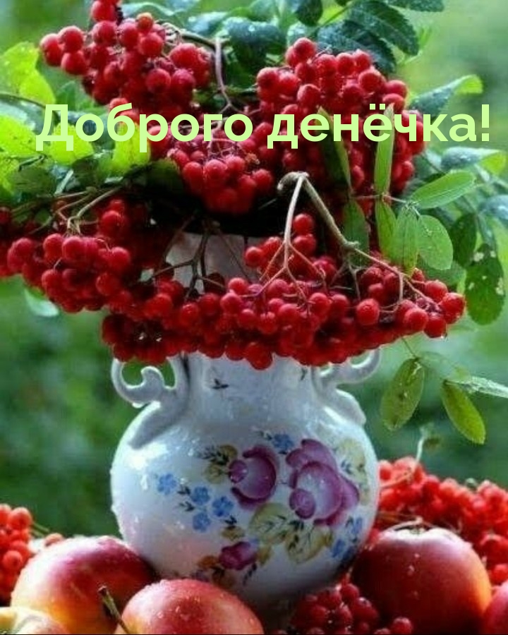 Доброго денёчка!