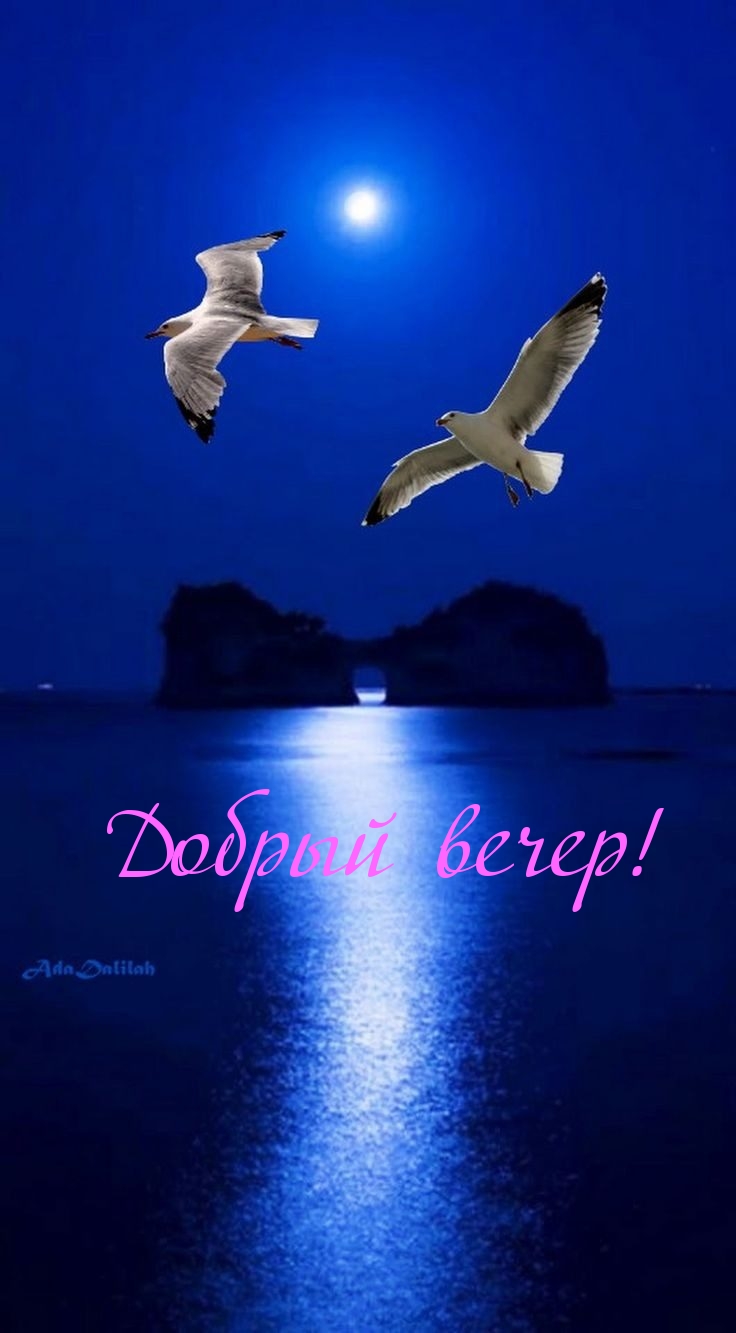 Добрый вечер!