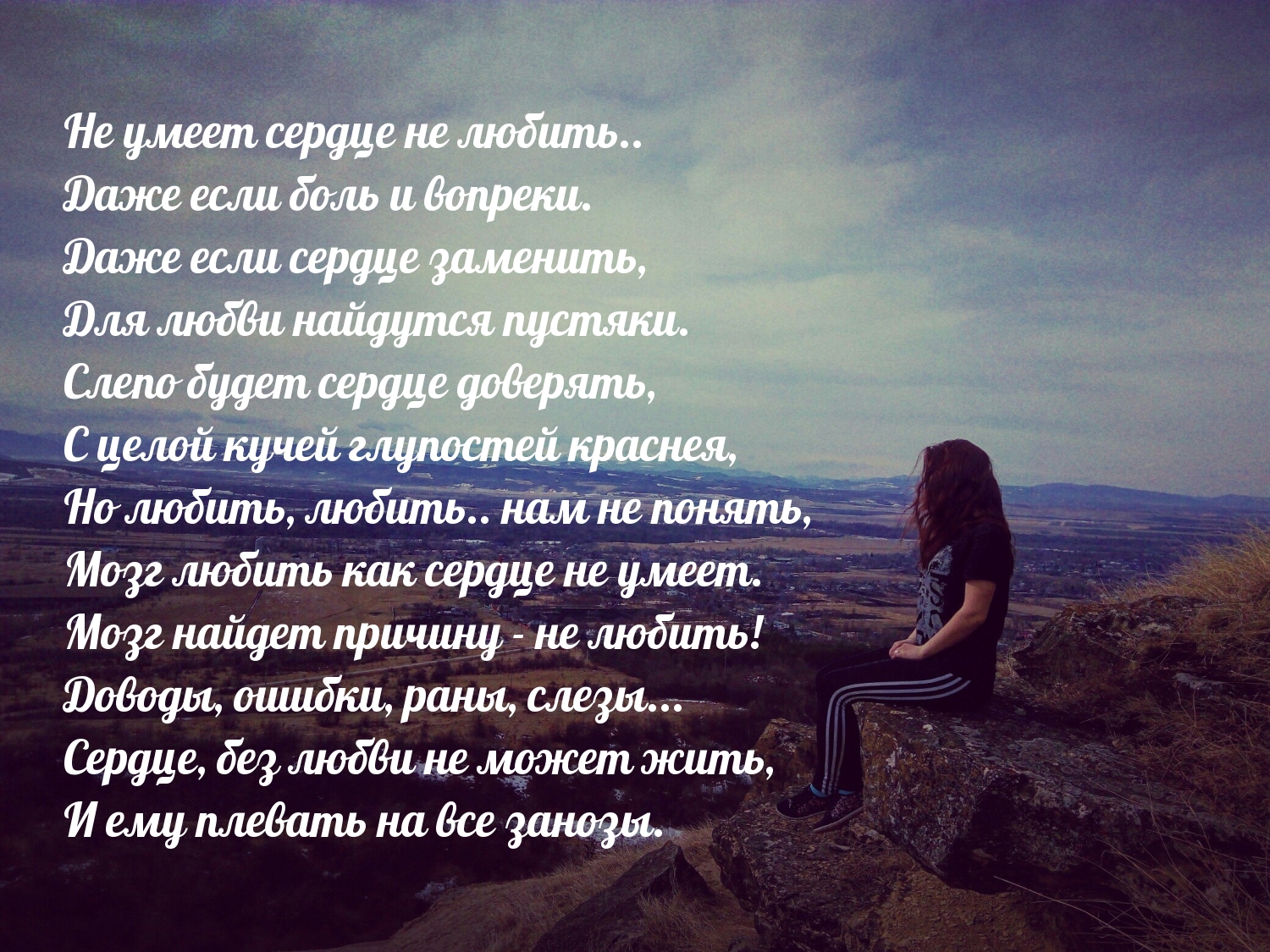 Не умеет сердце не любить