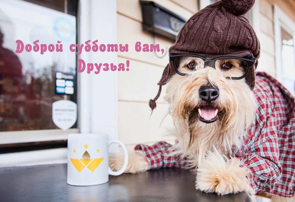 Доброй субботы вам, Друзья!