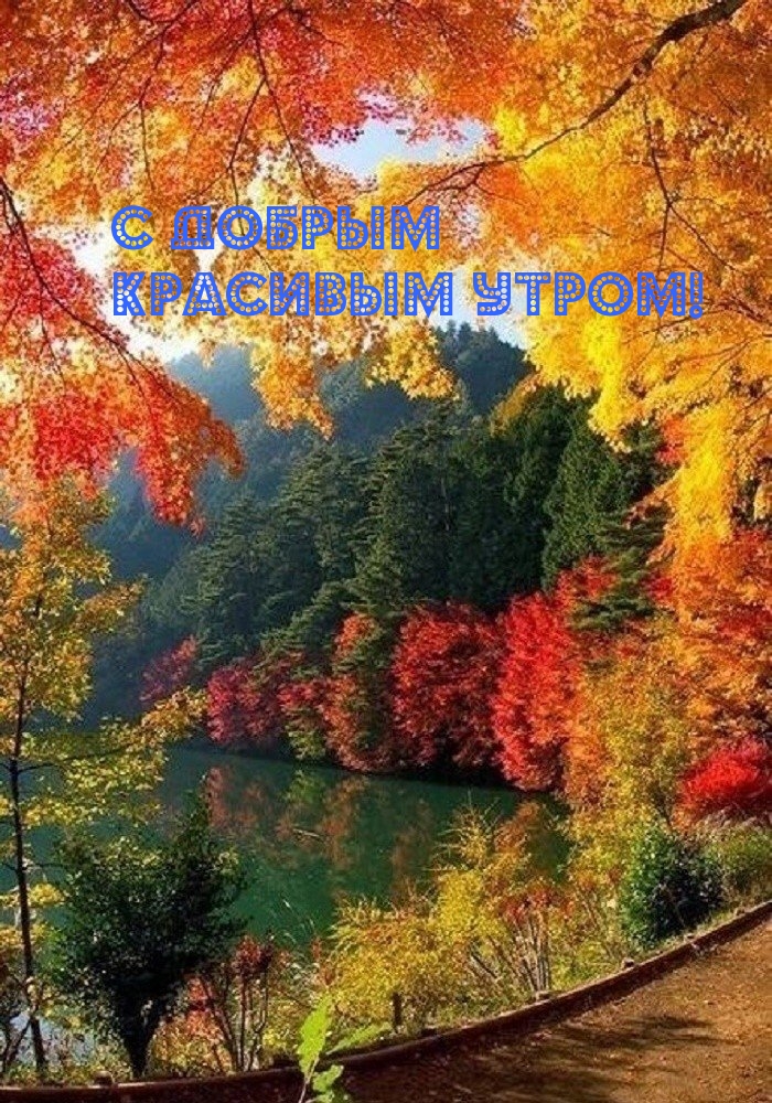 С добрым красивым утром!