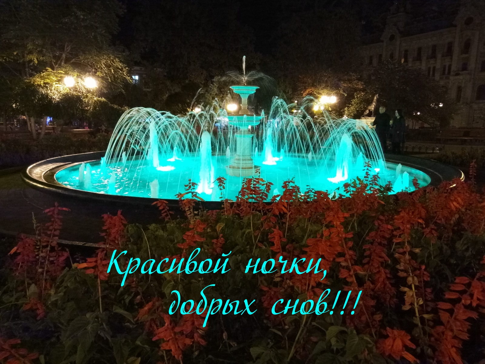 Картинки с надписями.  Красивой ночки, добрых снов!!!.