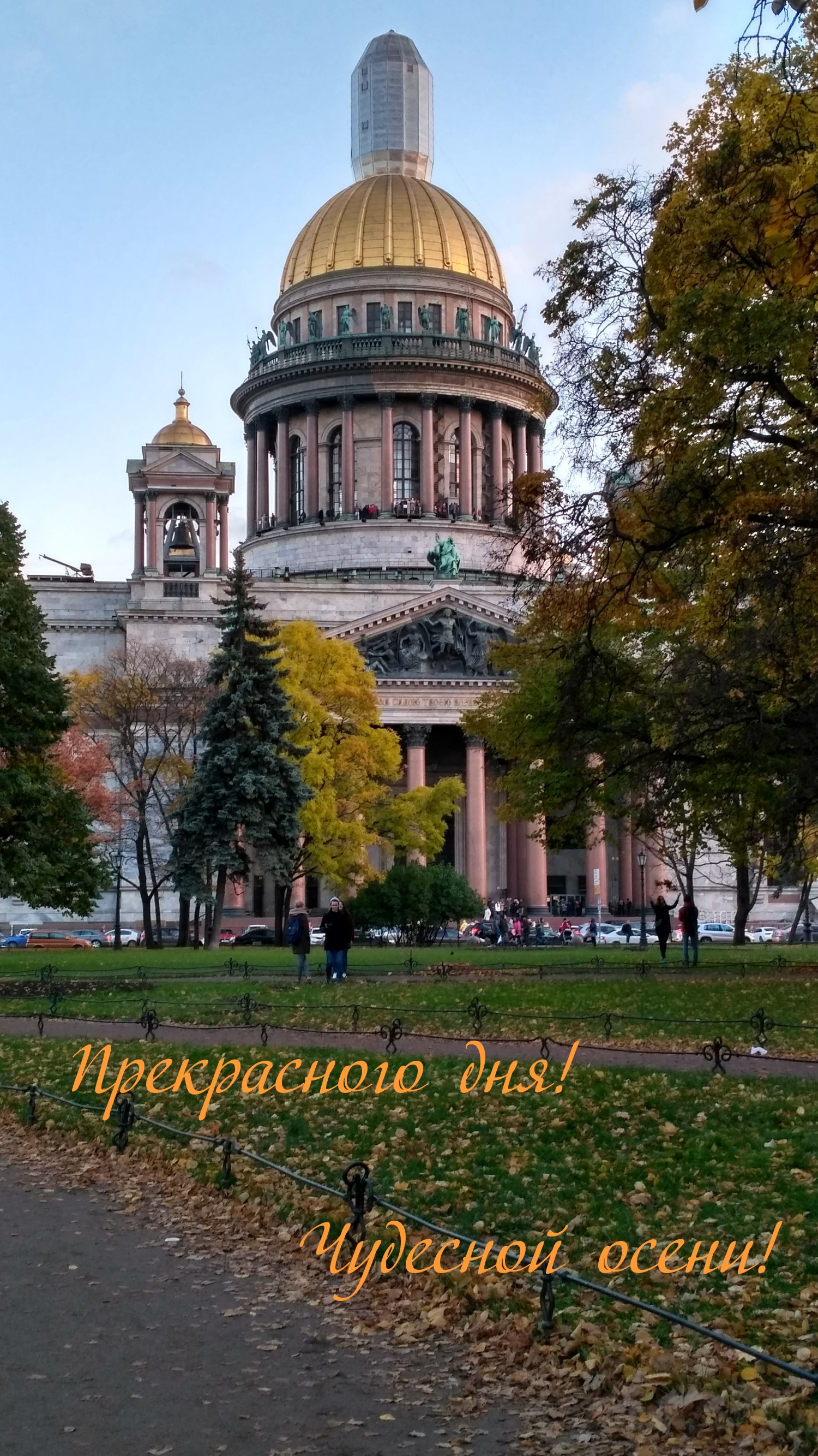 Прекрасного дня! Чудесной осени!