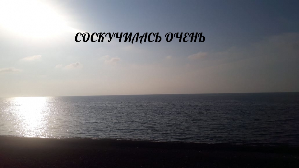 СОСКУЧИЛАСЬ ОЧЕНЬ