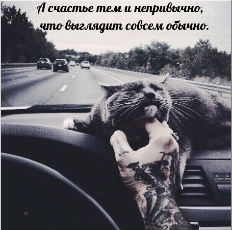 А счастье тем и непривычно, что…