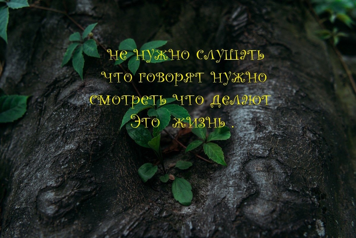 Не нужно слушать что говорят