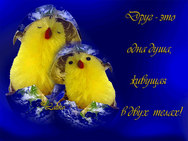Другу  — бесплатно для контакта