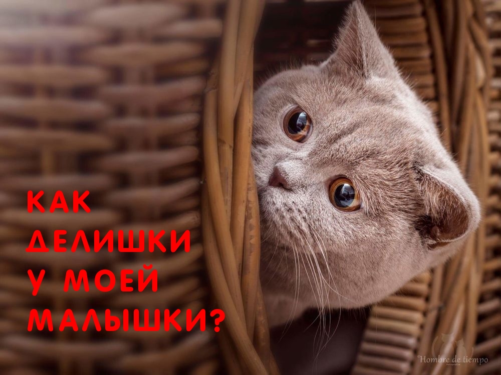 Как делишки у моей малышки?
