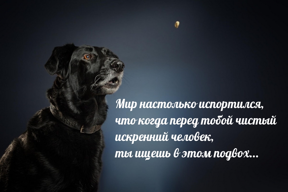Мир настолько испортился, что