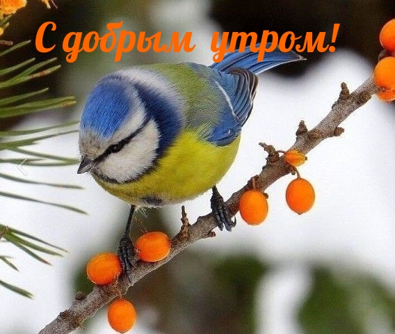 С добрым утром!