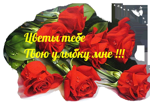 Цветы тебе Твою улыбку мне!