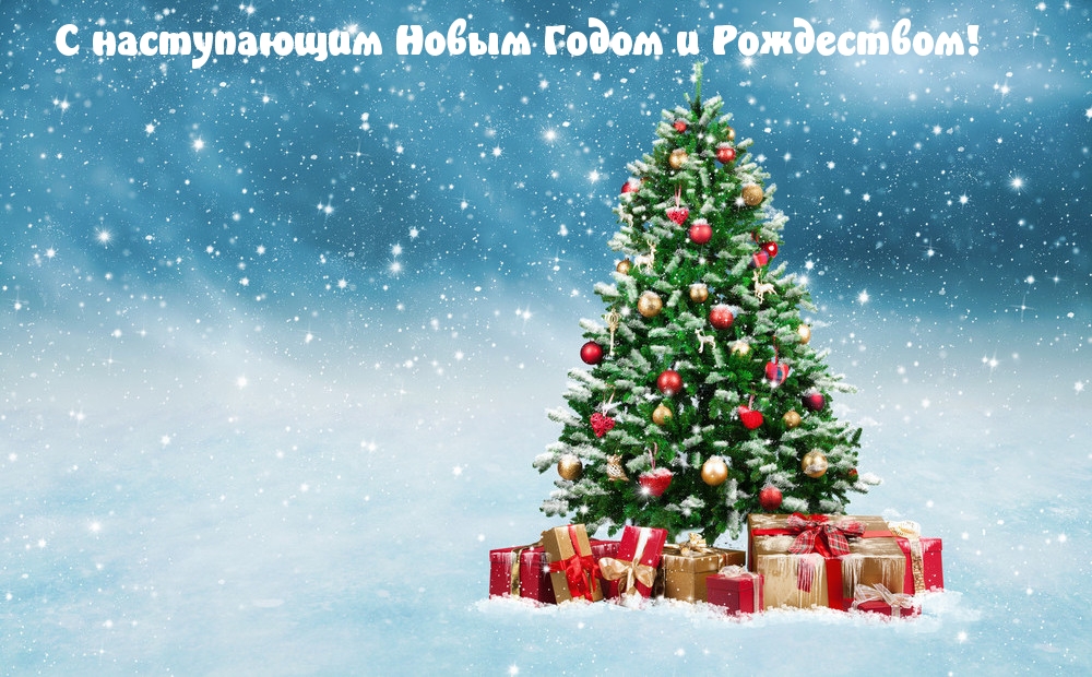 С наступающим Новым Годом и Рождеством!