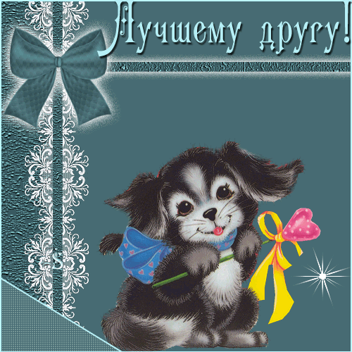 Лучшему другу  — смешные картинки