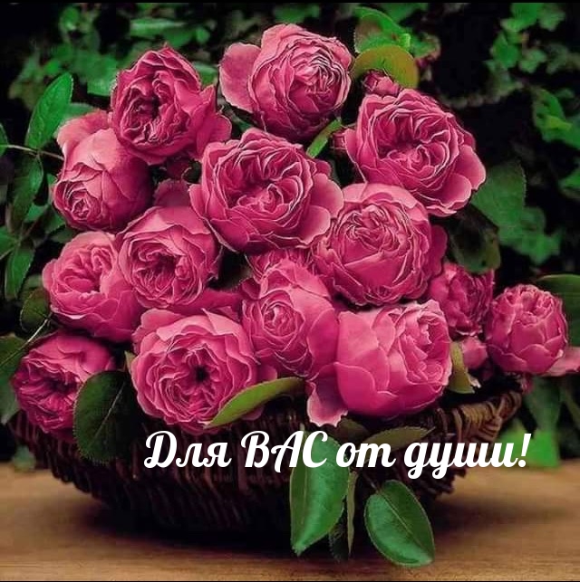 Для ВАС от души!