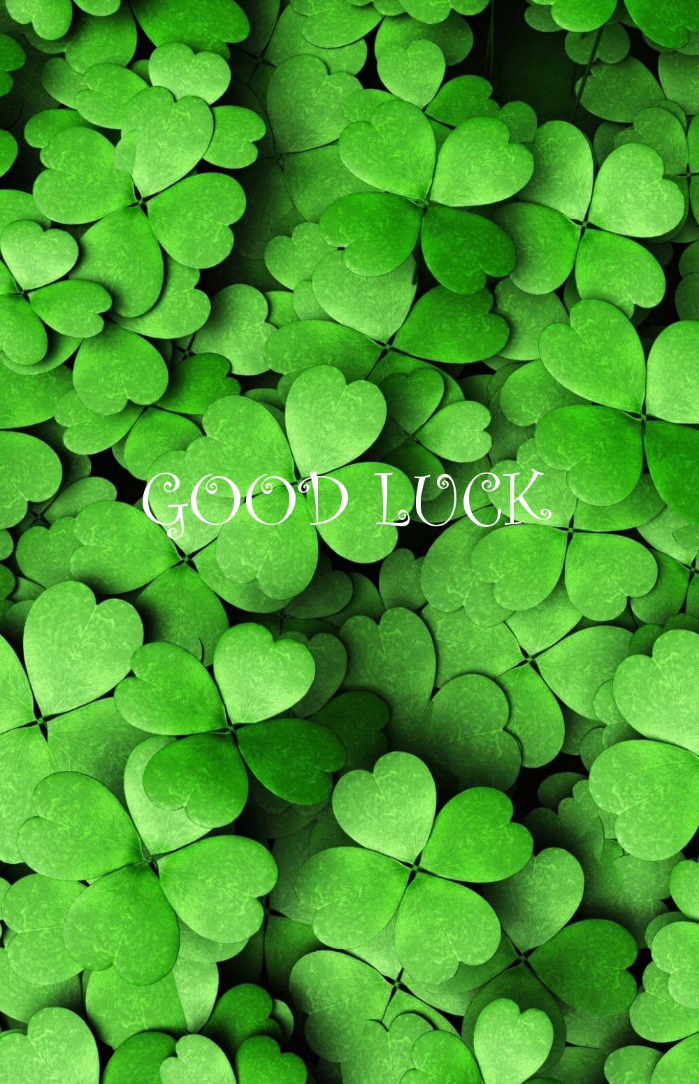 GOOD LUCK (Удачи)