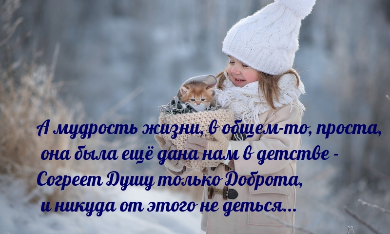 Согреет Душу только Доброта