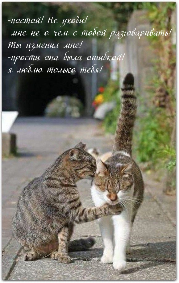-Прости она была ошибкой!