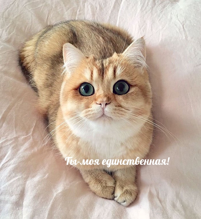 Ты-моя единственная!♥♥♥