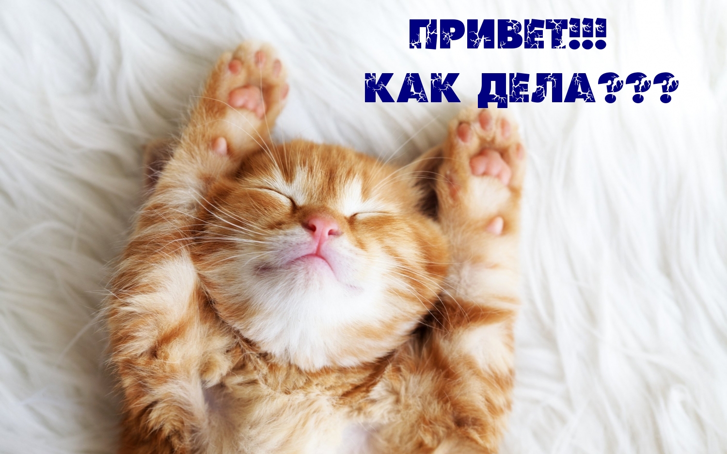 Привет! Как дела???